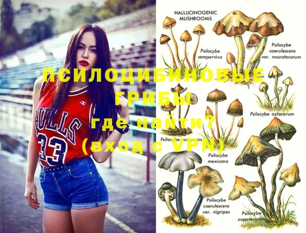 мяу мяу мука Зерноград