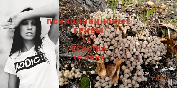 прущие крисы Навашино