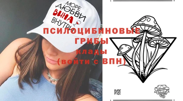 2c-b Горно-Алтайск