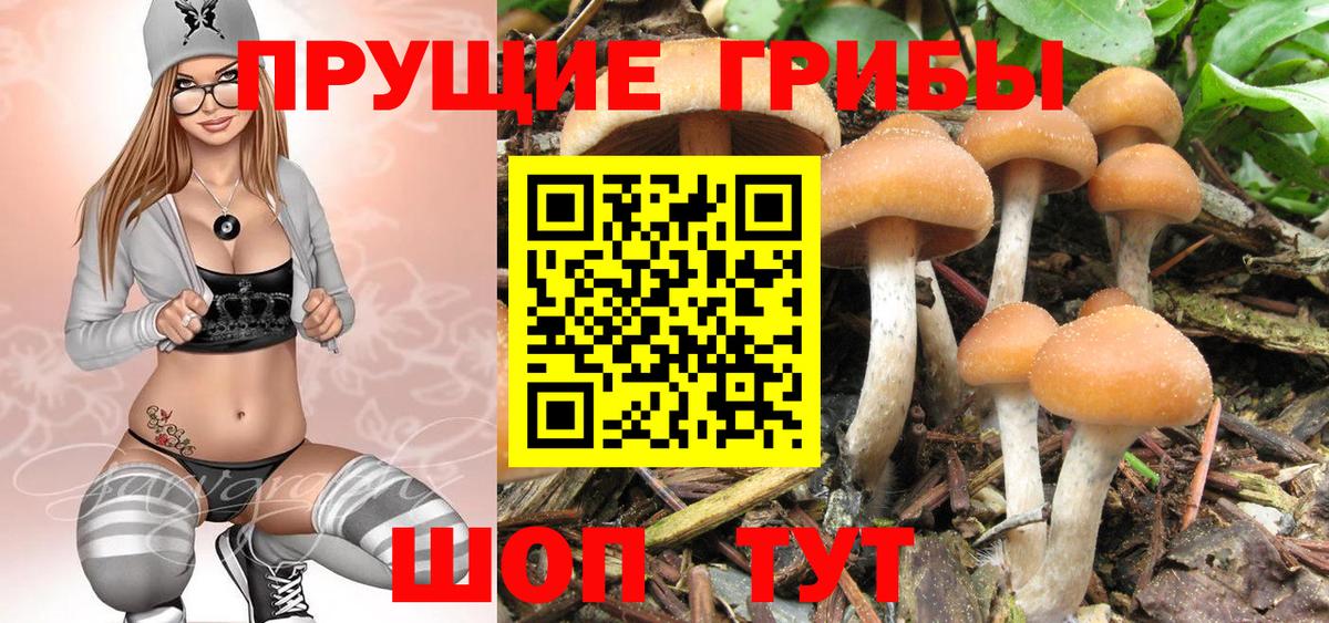 Псилоцибиновые грибы Cubensis  Вход с VPN  Галлюциногенные грибы ЛСД  Новодвинск 