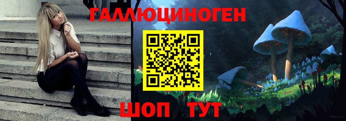 Псилоцибиновые грибы Psilocybine cubensis  Новодвинск 