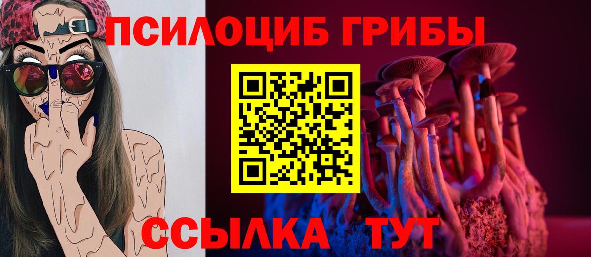 Псилоцибиновые грибы MAGIC MUSHROOMS Новодвинск