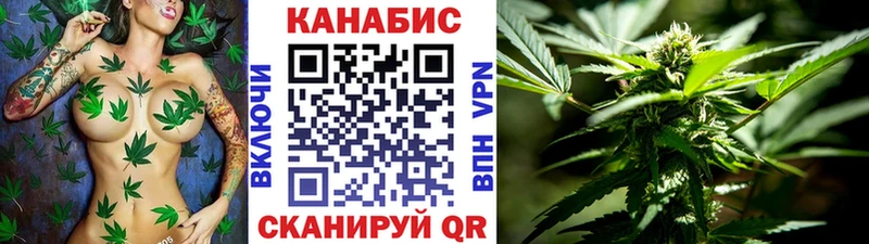 Бошки Шишки Bruce Banner  Новодвинск 